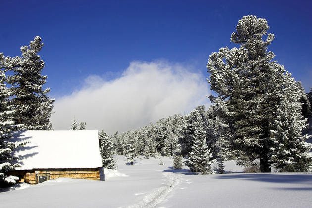 germany-black-forest-winter