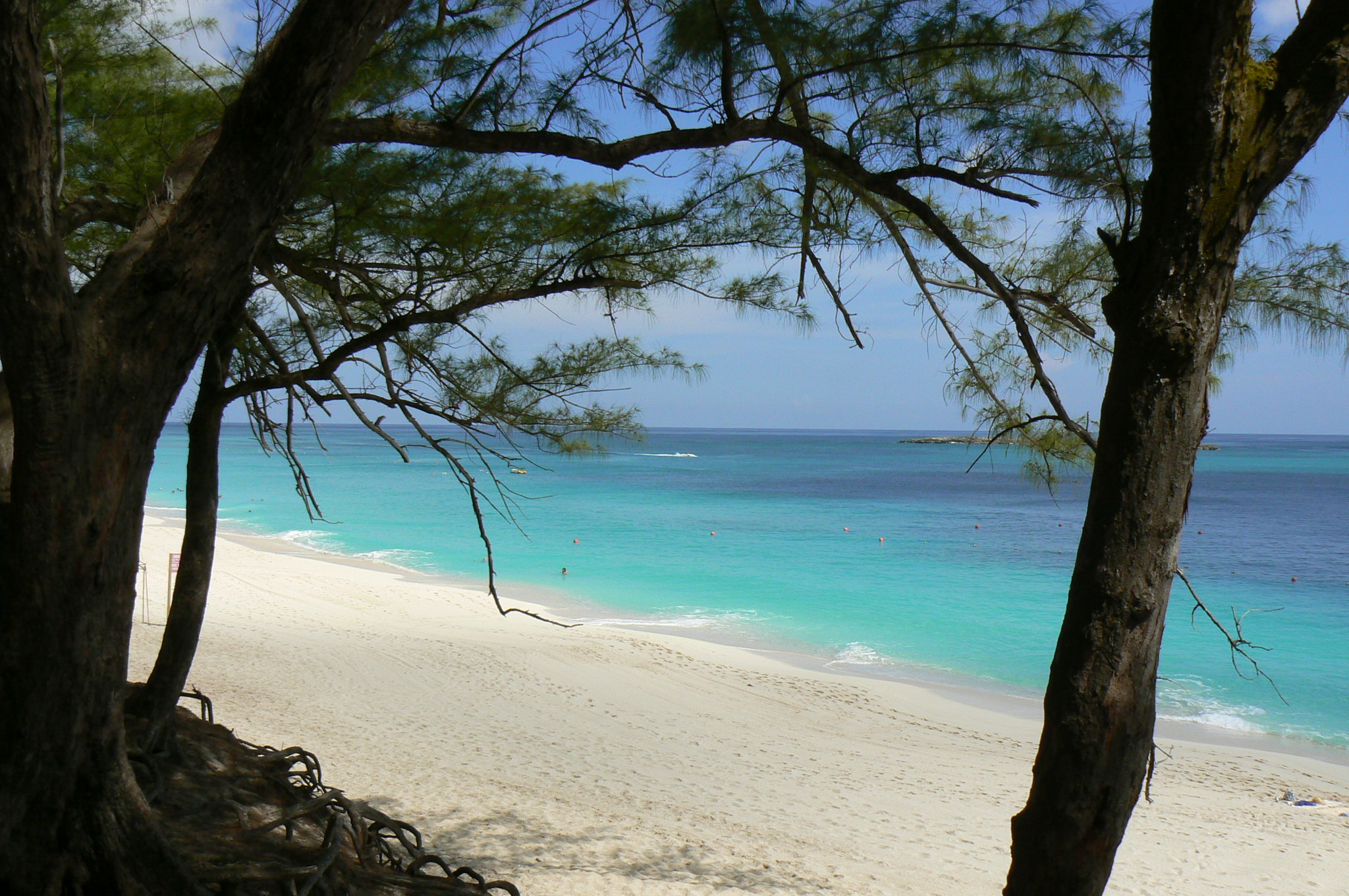 cabbage beach