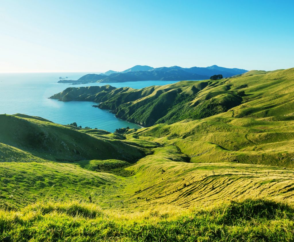 New Zealand coast