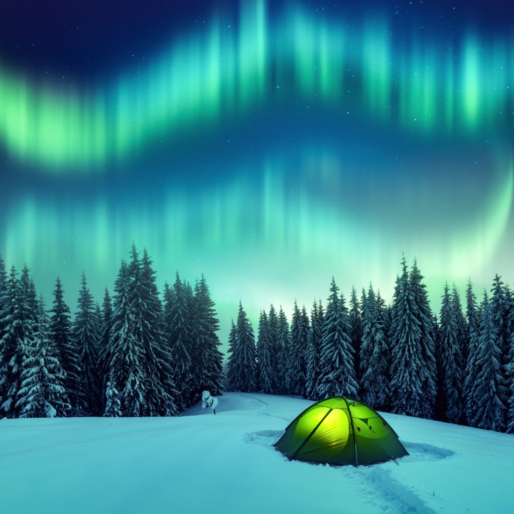 Northern lights in winter forest